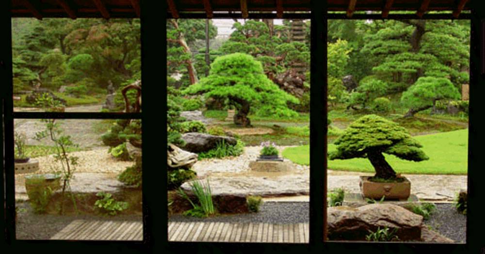 Ein wunderbarer Garten wird zum Bild