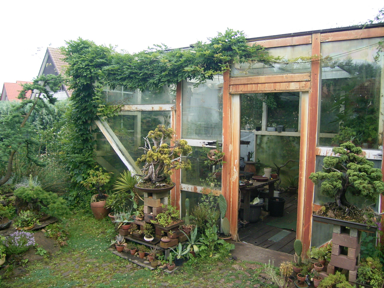 Gewächshaus Standort für den Winter /Frostschutz