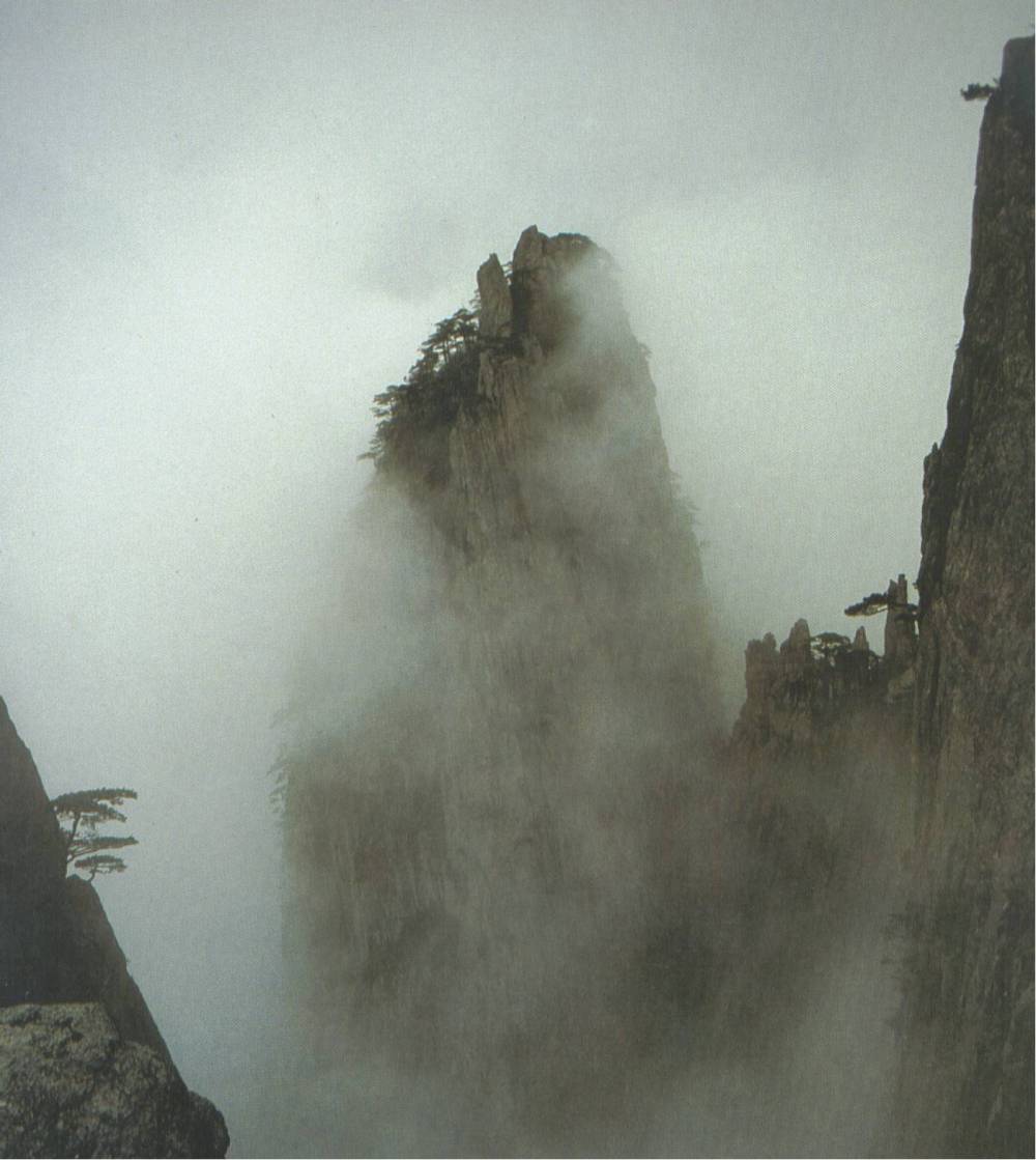 Gebirgslandschaft mit alten Kiefern im Kampf ums Überleben