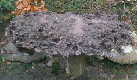 Für eine Waldlandschaft ?