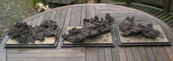 Jetzt fehlen nur noch die Mamebonsai...