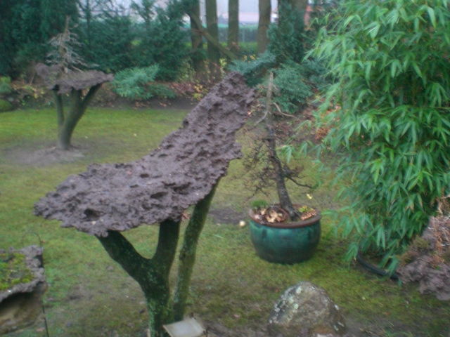Einen Tag vorher wurde die Felsenschale auf ihren Sockel gesetzt. Im Hintergrund sieht man die um zu pflanzende Larix